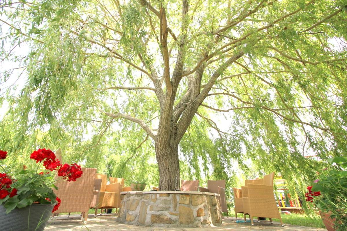 בפורטורוז Green Place Apartments מראה חיצוני תמונה